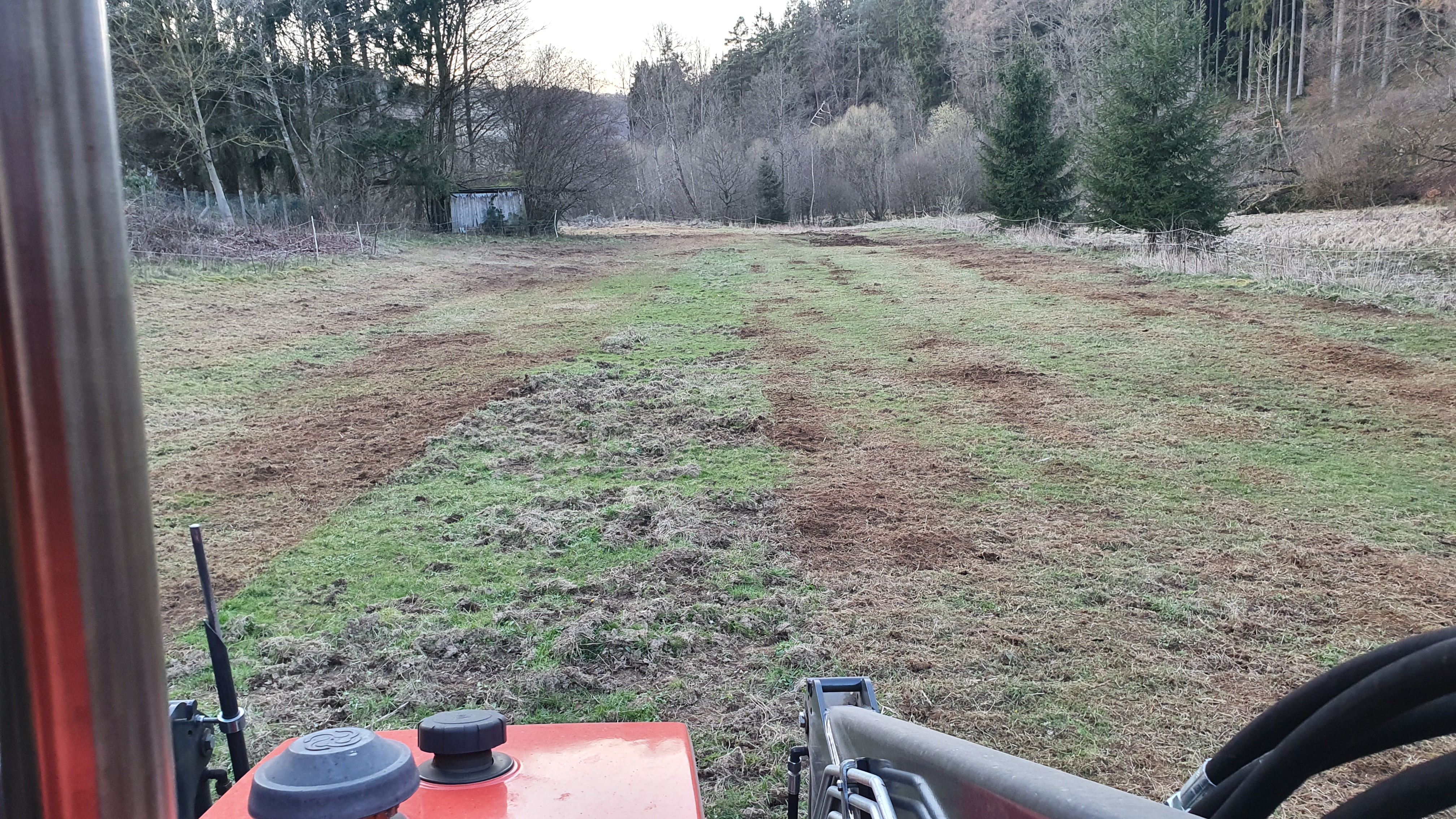 Mulchen / Rekultivierung