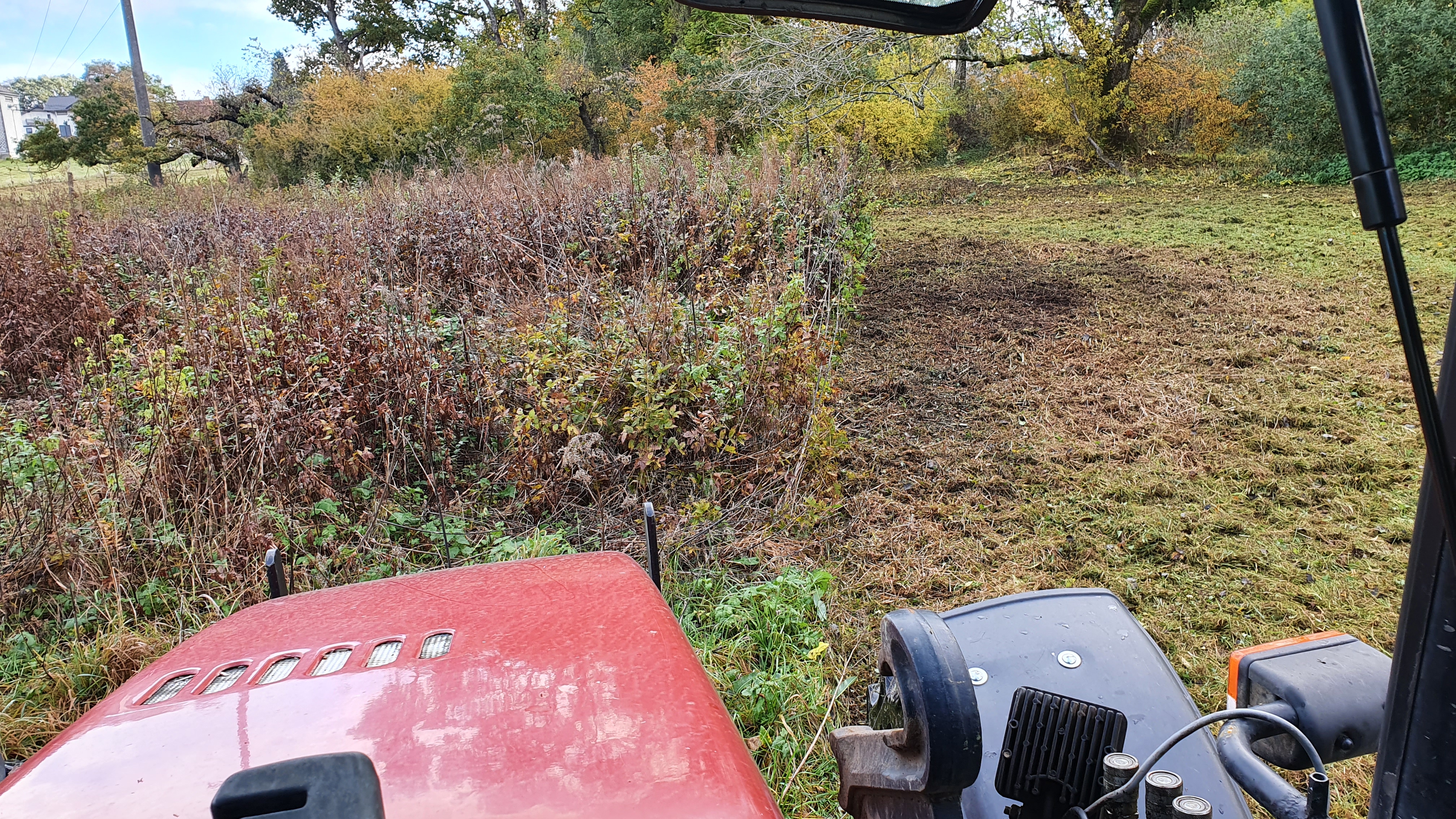 Mulchen / Rekultivierung